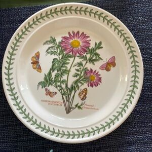 Portmeirion Dinner Plate